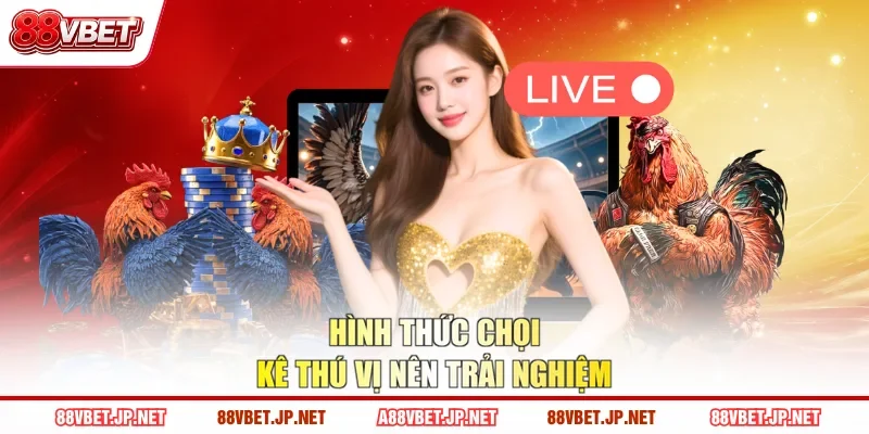 Hình thức chọi kê thú vị nên trải nghiệm