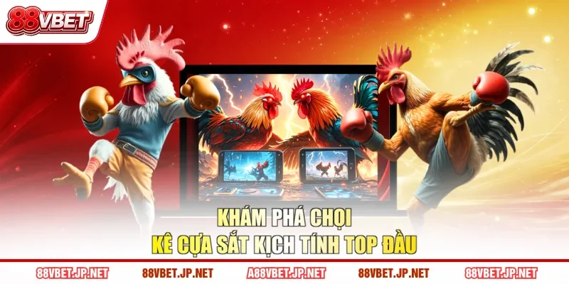 Khám phá chọi kê cựa sắt kịch tính top đầu