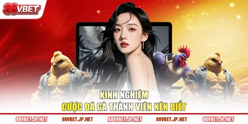 Kinh nghiệm cược đá gà thành viên nên biết
