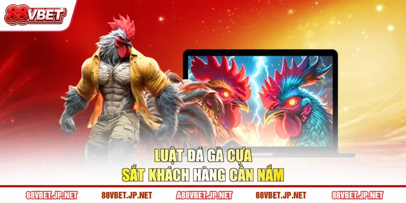 Luật đá gà cựa sắt khách hàng cần nắm